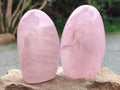 Polished Rose Quartz Standing Free Forms x 4 From Madagascar