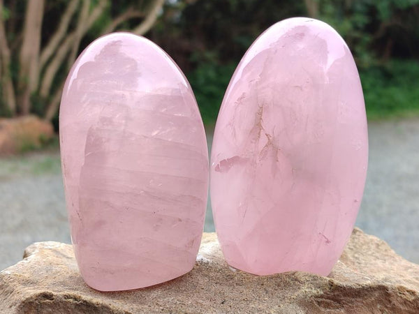 Polished Rose Quartz Standing Free Forms x 4 From Madagascar