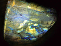 Polished Labradorite Standing Free Forms x 4 From Tulear, Madagascar