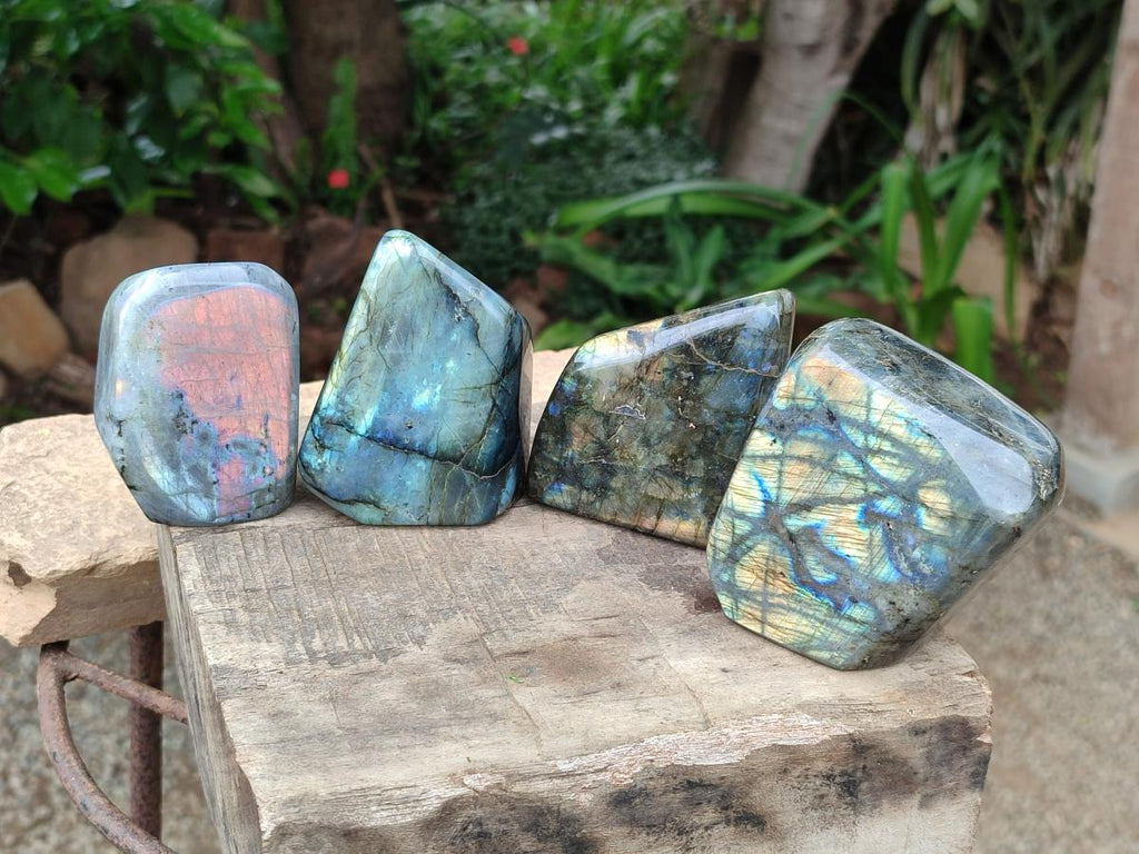Polished Labradorite Standing Free Forms x 4 From Tulear, Madagascar