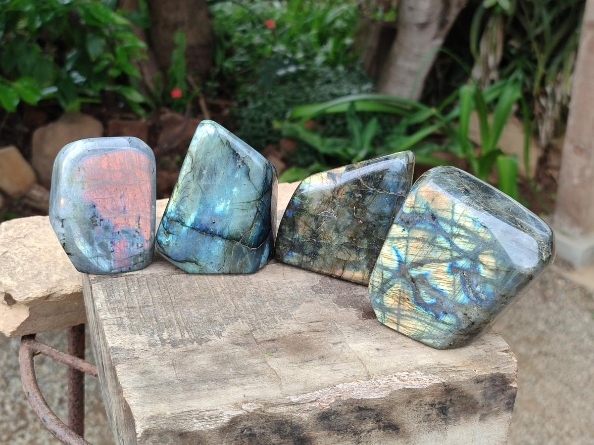 Polished Labradorite Standing Free Forms x 4 From Tulear, Madagascar