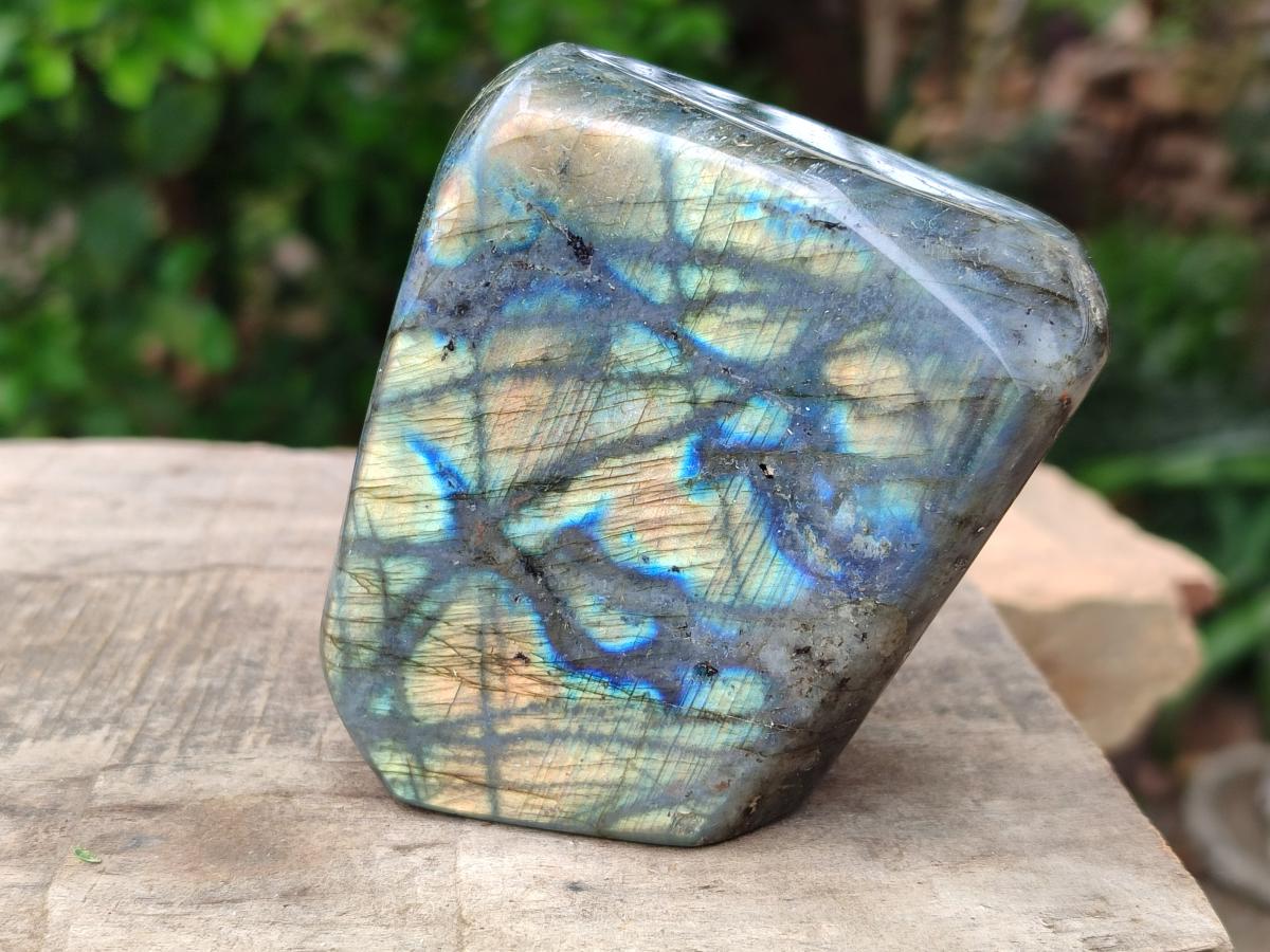 Polished Labradorite Standing Free Forms x 4 From Tulear, Madagascar