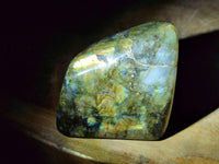 Polished Labradorite Standing Free Forms x 4 From Tulear, Madagascar