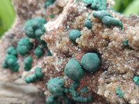 Natural Crystalline Ball Malachite and Quartz On Dolomite Specimen x 1 From Mindingi Mine, Kambove, Congo