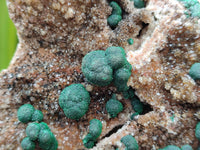 Natural Crystalline Ball Malachite and Quartz On Dolomite Specimen x 1 From Mindingi Mine, Kambove, Congo