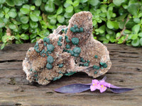 Natural Crystalline Ball Malachite and Quartz On Dolomite Specimen x 1 From Mindingi Mine, Kambove, Congo