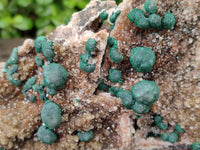 Natural Crystalline Ball Malachite and Quartz On Dolomite Specimen x 1 From Mindingi Mine, Kambove, Congo