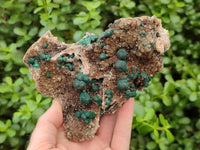 Natural Crystalline Ball Malachite and Quartz On Dolomite Specimen x 1 From Mindingi Mine, Kambove, Congo