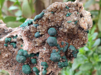 Natural Crystalline Ball Malachite and Quartz On Dolomite Specimen x 1 From Mindingi Mine, Kambove, Congo