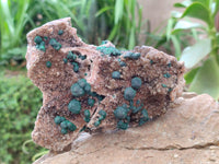 Natural Crystalline Ball Malachite and Quartz On Dolomite Specimen x 1 From Mindingi Mine, Kambove, Congo