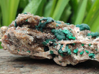 Natural Crystalline Ball Malachite and Quartz On Dolomite Specimen x 1 From Mindingi Mine, Kambove, Congo