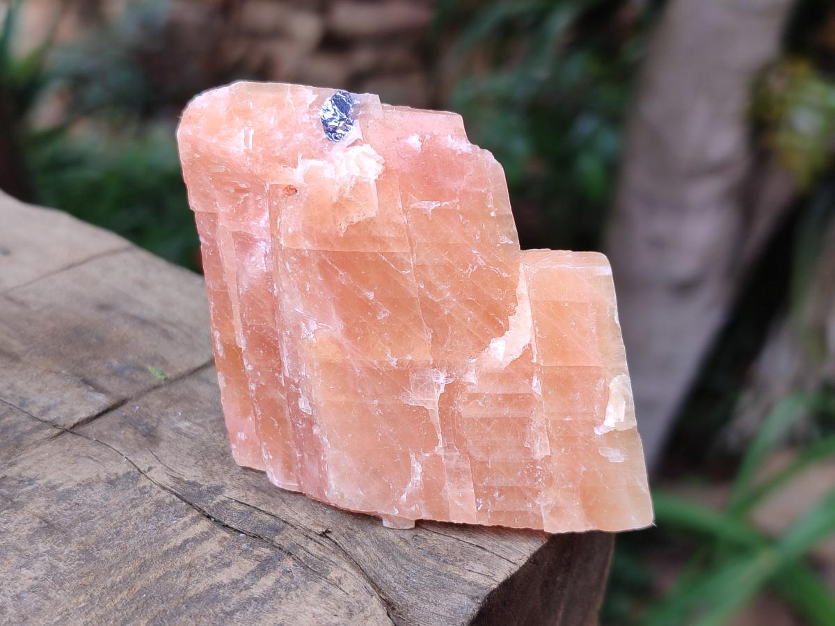 Natural Sunset Orange Calcite Specimens x 24 From Spitzkop, Namibia