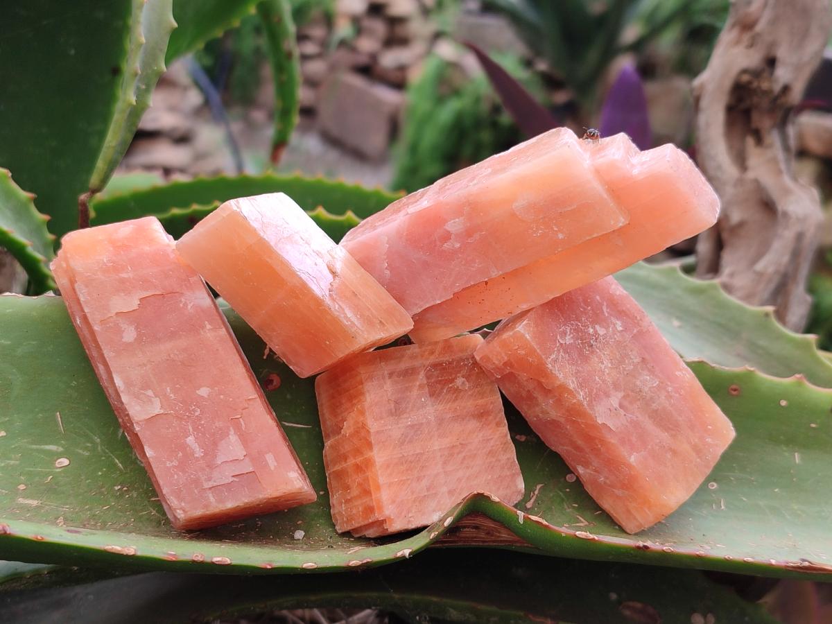 Natural Sunset Orange Calcite Specimens x 24 From Spitzkop, Namibia