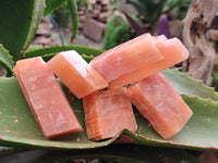 Natural Sunset Orange Calcite Specimens x 24 From Spitzkop, Namibia