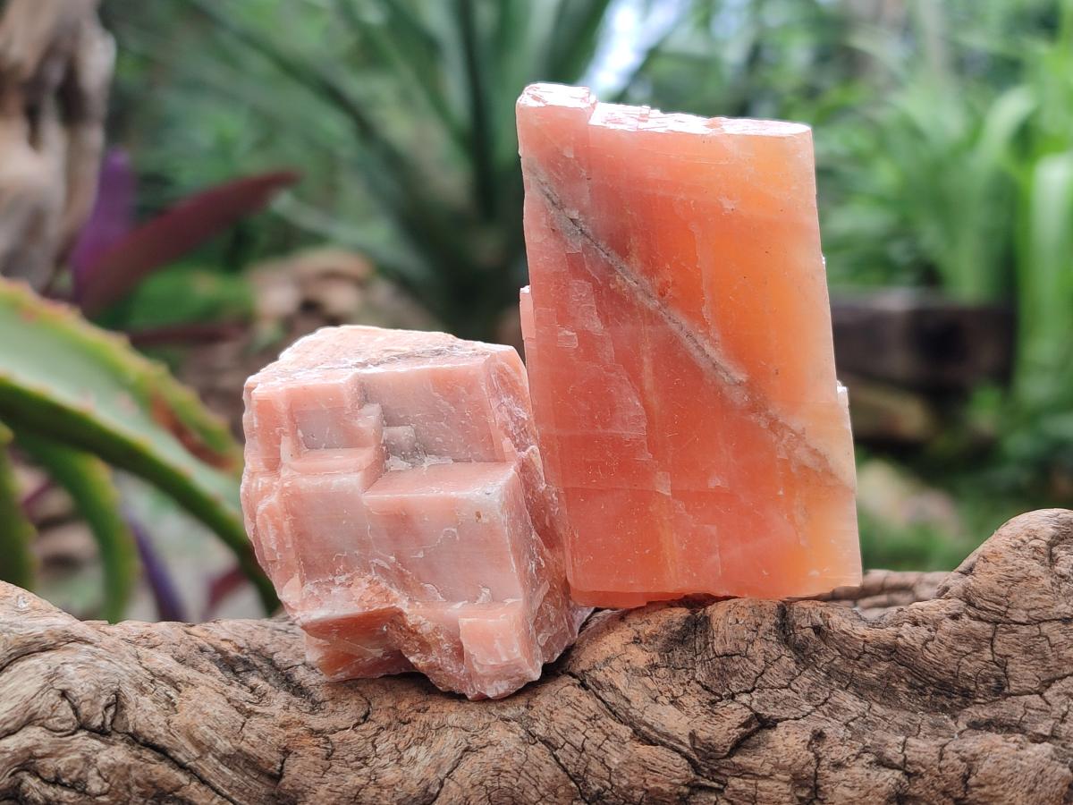 Natural Sunset Orange Calcite Specimens x 24 From Spitzkop, Namibia