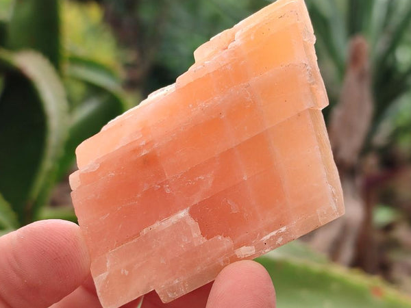 Natural Sunset Orange Calcite Specimens x 24 From Spitzkop, Namibia