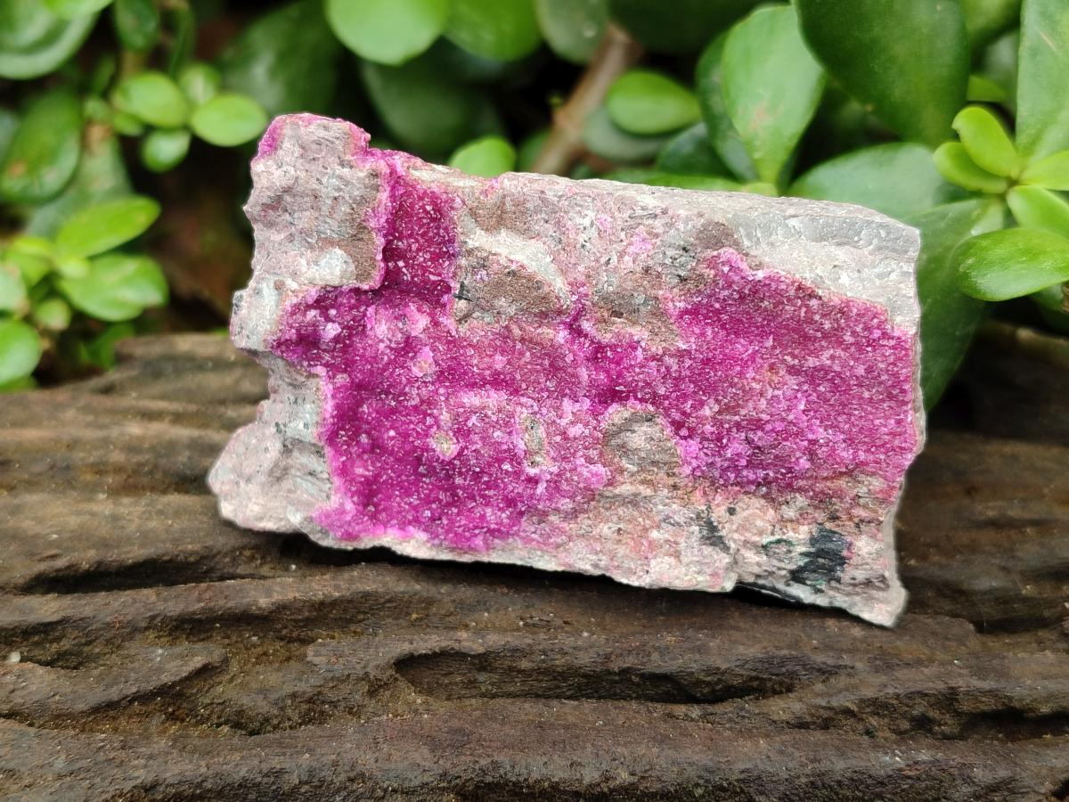 Natural Salrose Cobaltion Dolomite Specimens x 12 From Kakanda, Congo