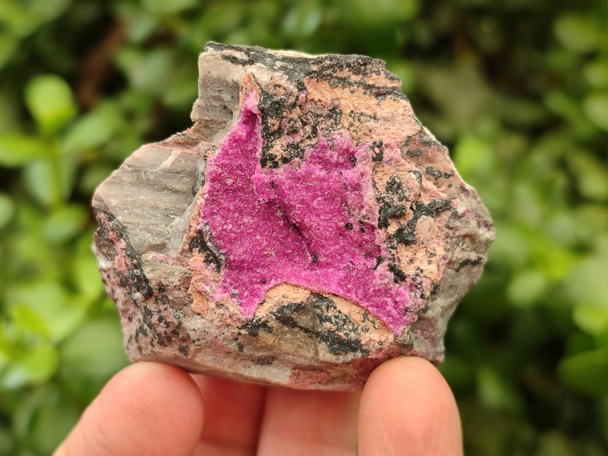 Natural Salrose Cobaltion Dolomite Specimens x 12 From Kakanda, Congo
