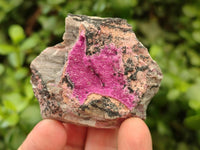 Natural Salrose Cobaltion Dolomite Specimens x 12 From Kakanda, Congo