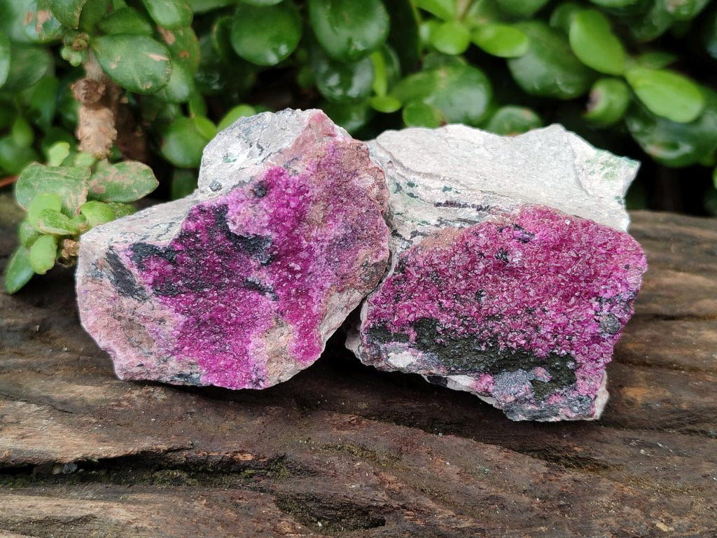 Natural Salrose Cobaltion Dolomite Specimens x 12 From Kakanda, Congo