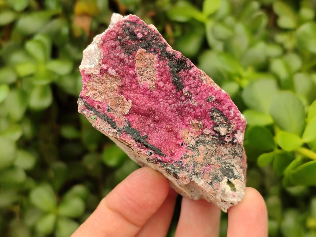 Natural Salrose Cobaltion Dolomite Specimens x 12 From Kakanda, Congo