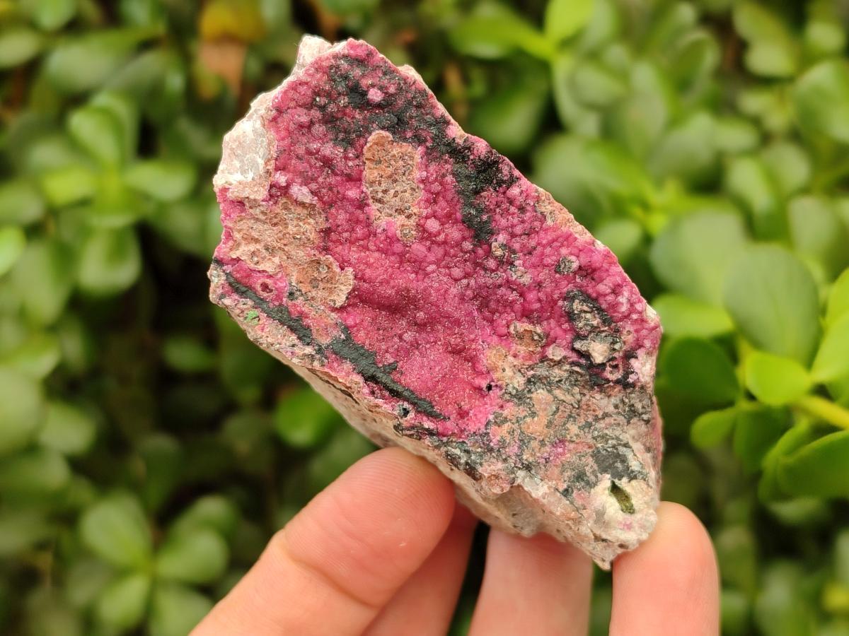 Natural Salrose Cobaltion Dolomite Specimens x 12 From Kakanda, Congo