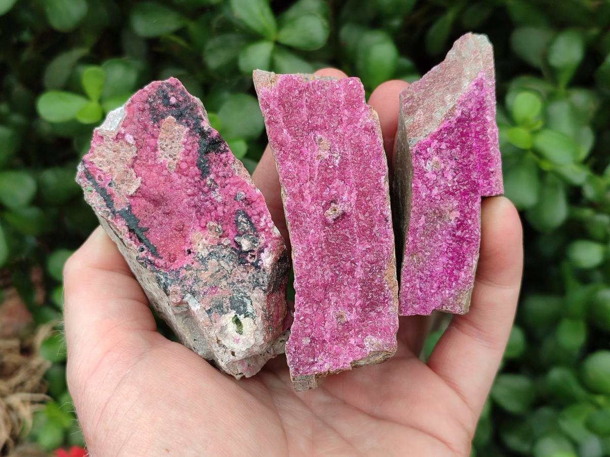 Natural Salrose Cobaltion Dolomite Specimens x 12 From Kakanda, Congo