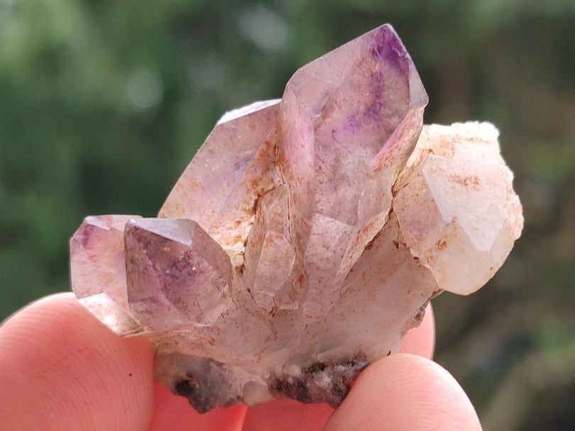 Natural Smokey Window Amethyst Crystals x 70 From Chiredzi, Zimbabwe