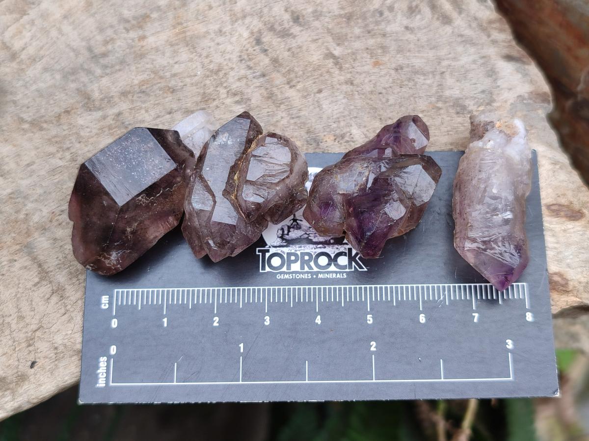 Natural Smokey Window Amethyst Crystals x 70 From Chiredzi, Zimbabwe