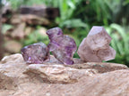 Natural Smokey Window Amethyst Crystals x 70 From Chiredzi, Zimbabwe