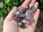 Natural Smokey Window Amethyst Crystals x 70 From Chiredzi, Zimbabwe