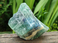 Natural Watermelon Fluorite Cobbed Specimens x 8 From Uis, Namibia