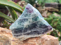 Natural Watermelon Fluorite Cobbed Specimens x 8 From Uis, Namibia