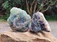 Natural Watermelon Fluorite Cobbed Specimens x 8 From Uis, Namibia