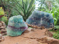 Natural Watermelon Fluorite Cobbed Specimens x 8 From Uis, Namibia