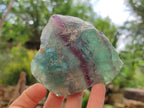 Natural Watermelon Fluorite Cobbed Specimens x 8 From Uis, Namibia