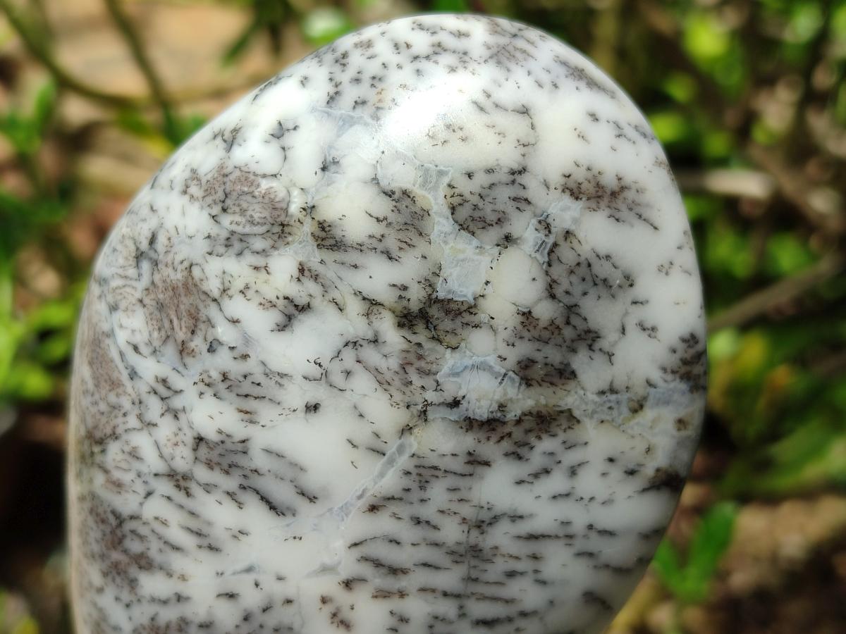Polished Dendritic Opal Standing Free Forms x 3 From Moralambo, Madagascar