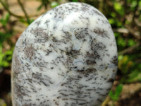 Polished Dendritic Opal Standing Free Forms x 3 From Moralambo, Madagascar