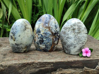 Polished Dendritic Opal Standing Free Forms x 3 From Moralambo, Madagascar