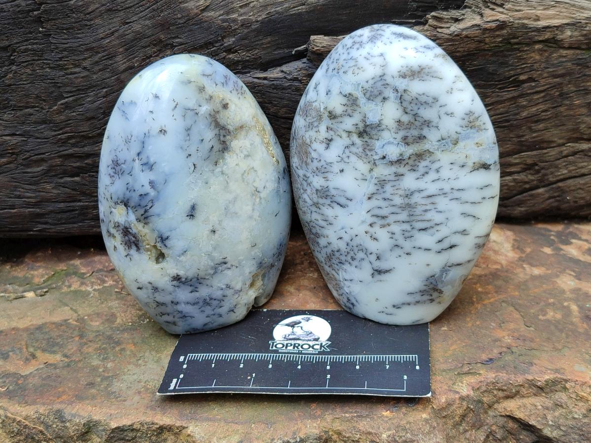 Polished Dendritic Opal Standing Free Forms x 3 From Moralambo, Madagascar
