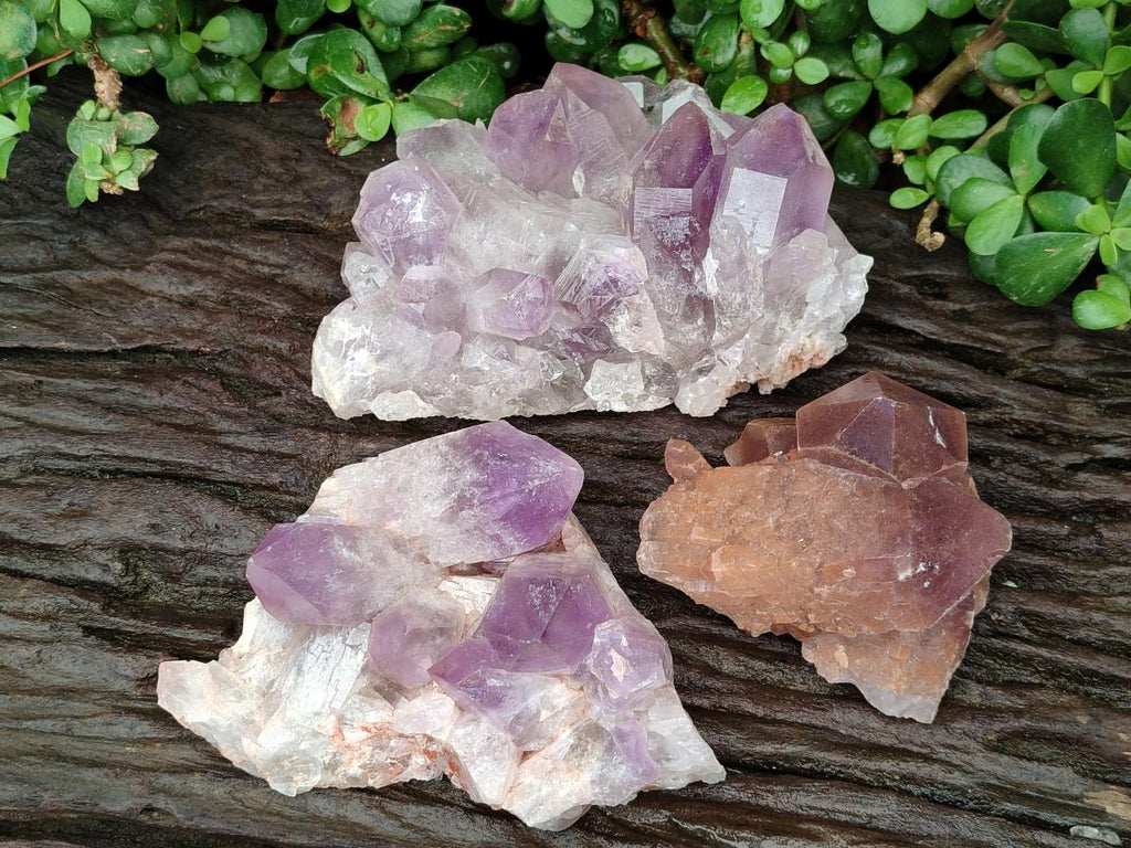 Natural Jacaranda Amethyst Crystal Clusters x 3 From Mumbwa, Zambia