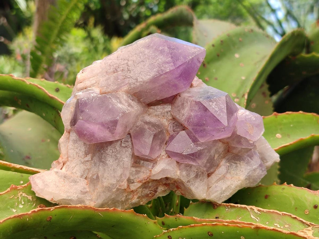 Natural Jacaranda Amethyst Crystal Clusters x 3 From Mumbwa, Zambia