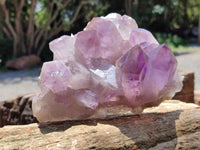 Natural Jacaranda Amethyst Crystal Clusters x 3 From Mumbwa, Zambia