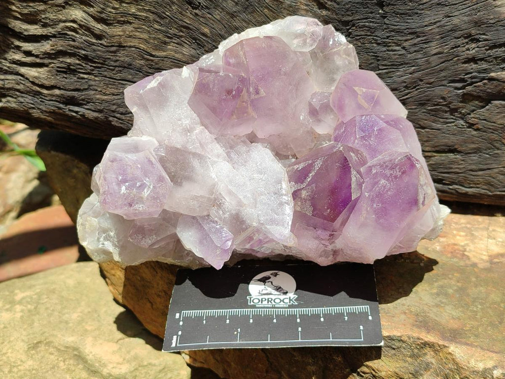 Natural Jacaranda Amethyst Crystal Clusters x 3 From Mumbwa, Zambia