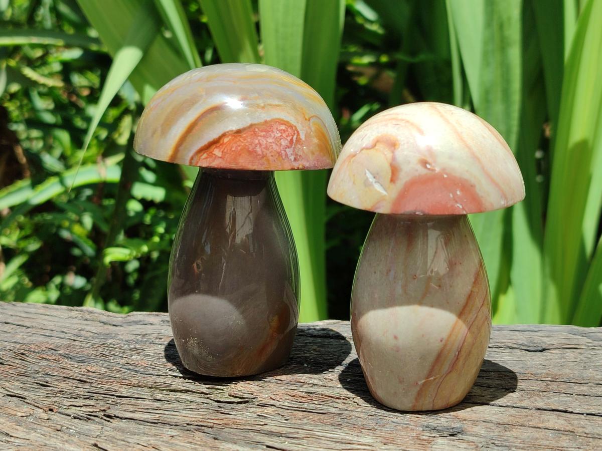 Polished Polychrome Jasper Mushrooms x 6 From NW Coast, Madagascar