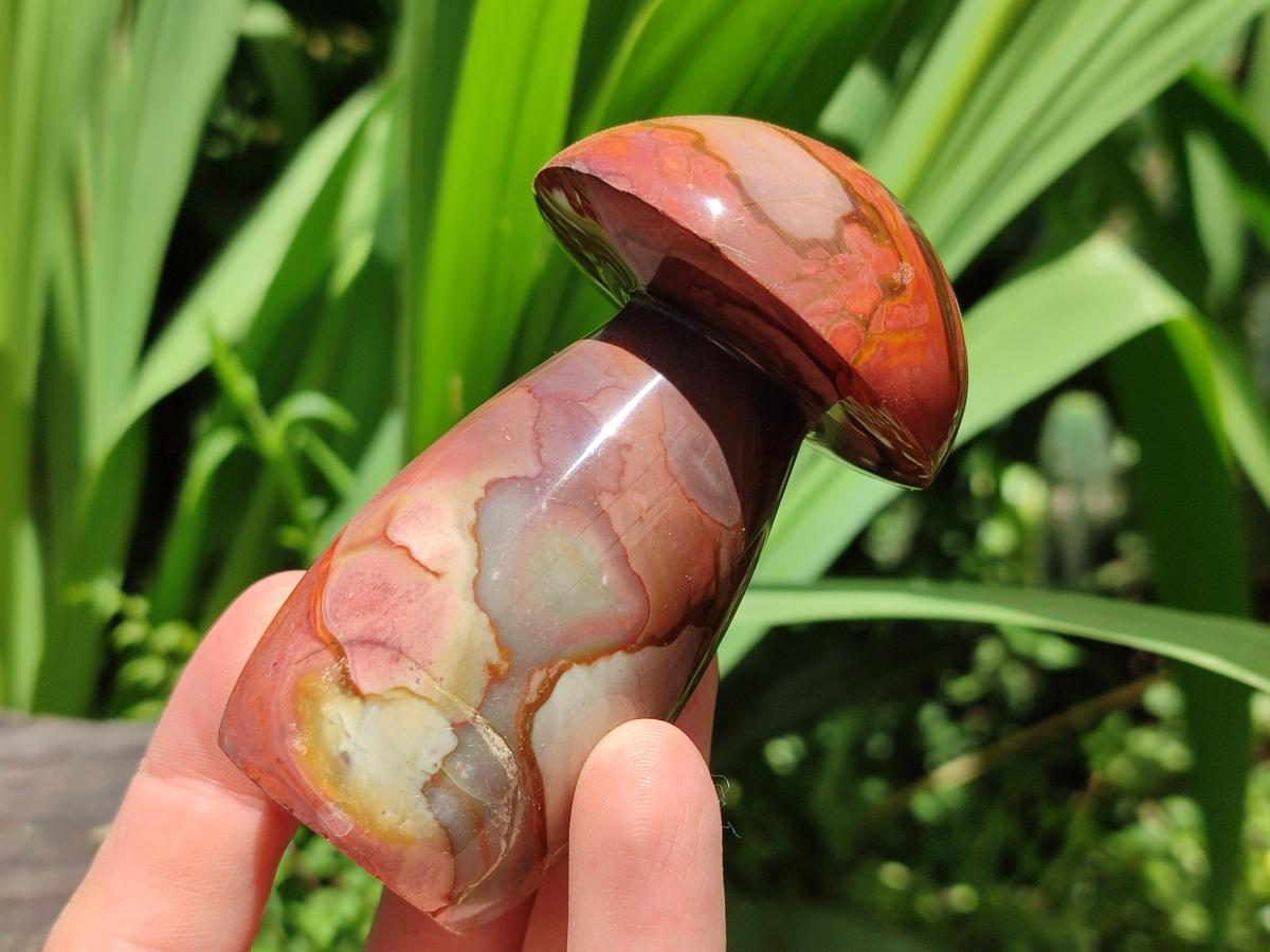 Polished Polychrome Jasper Mushrooms x 6 From NW Coast, Madagascar