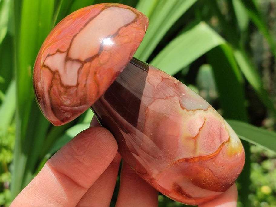 Polished Polychrome Jasper Mushrooms x 6 From NW Coast, Madagascar