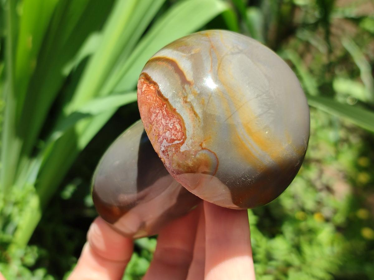 Polished Polychrome Jasper Mushrooms x 6 From NW Coast, Madagascar