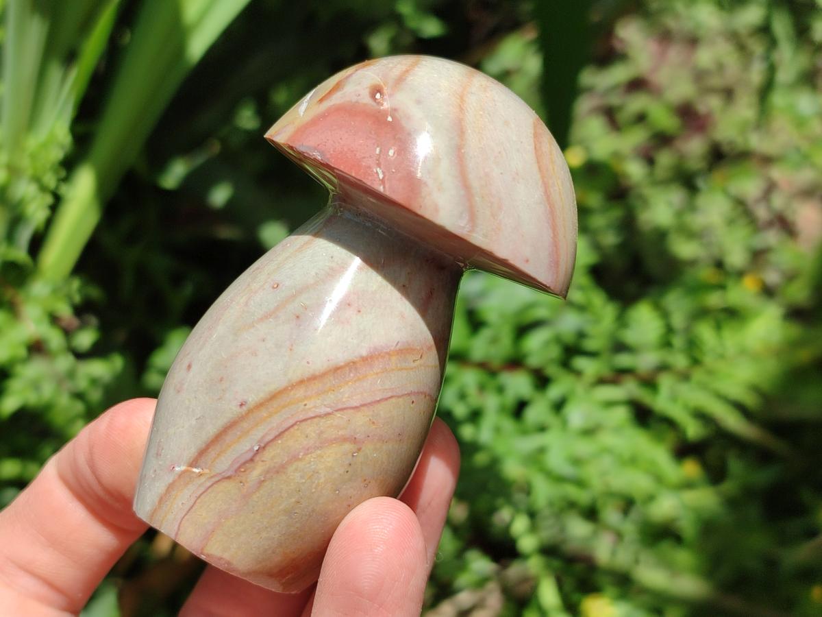 Polished Polychrome Jasper Mushrooms x 6 From NW Coast, Madagascar