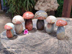 Polished Polychrome Jasper Mushrooms x 6 From NW Coast, Madagascar - Toprock Gemstones and Minerals 